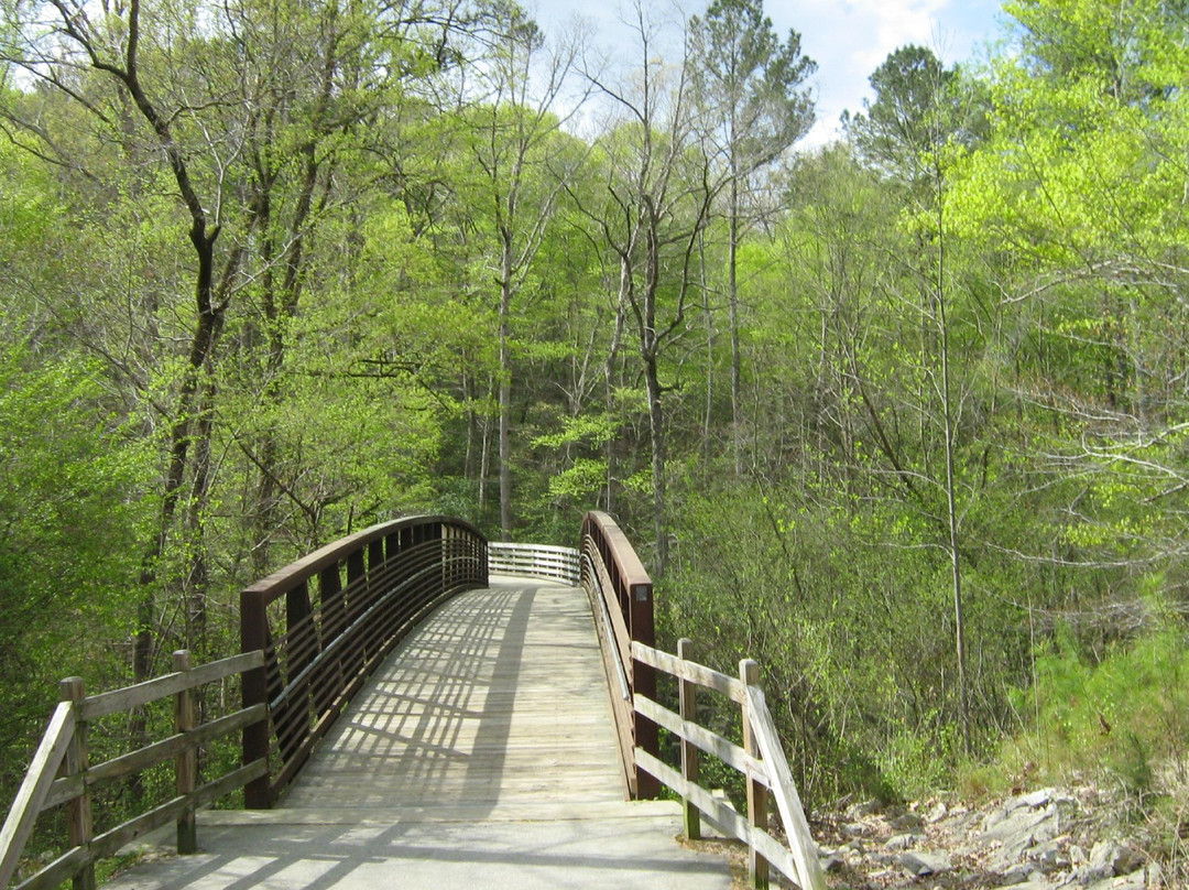 Cape Fear River Trail景点图片