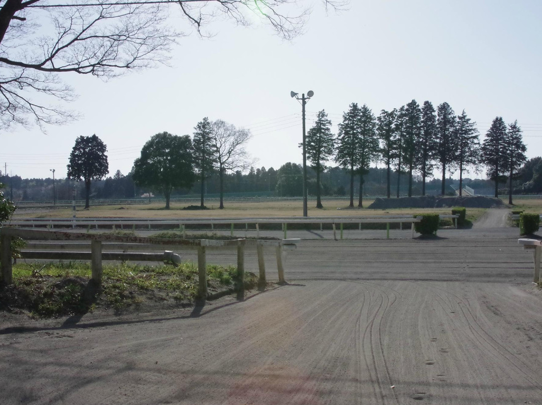 Kobayashi Farm-印西市必去景点