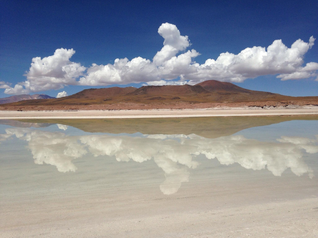 Atacama Dessert-安托法加斯塔大区必去景点