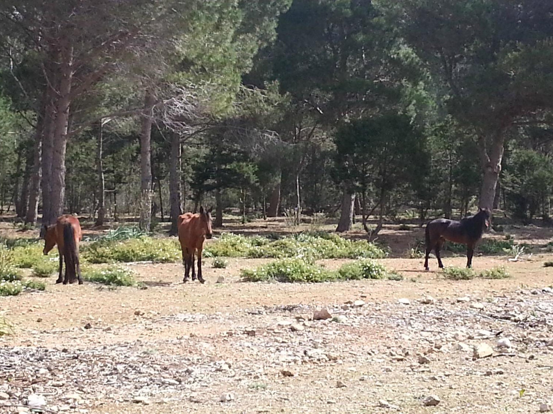 Exploralghero-阿尔盖罗必去景点