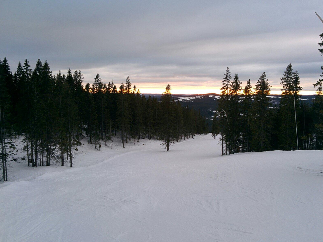 Romme Alpin-Borlange必去景点