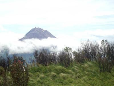Mount Merbabu National Park-沙拉迪加必去景点