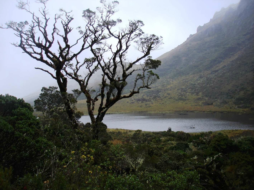 Parque Nacional Yacuri景点图片