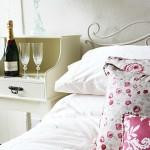 Willow Tree Farm Holidays主图