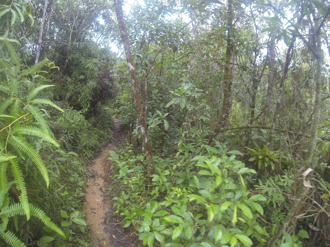 Parque Nacional de Saint-Hilaire-Lange景点图片