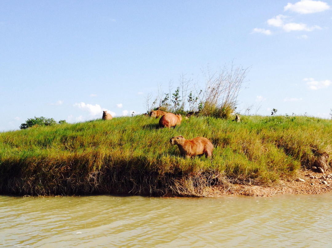 Merecure Parque Agroecologico-Puerto Lopez必去景点