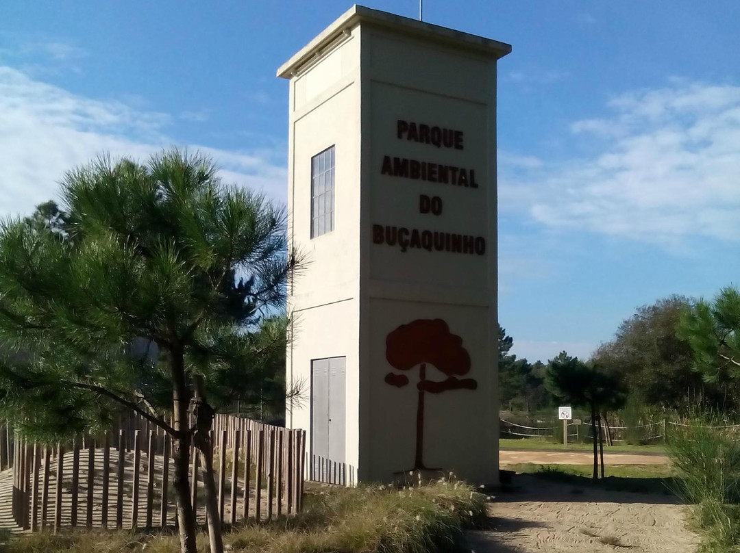 Parque Ambiental do Buçaquinho景点图片