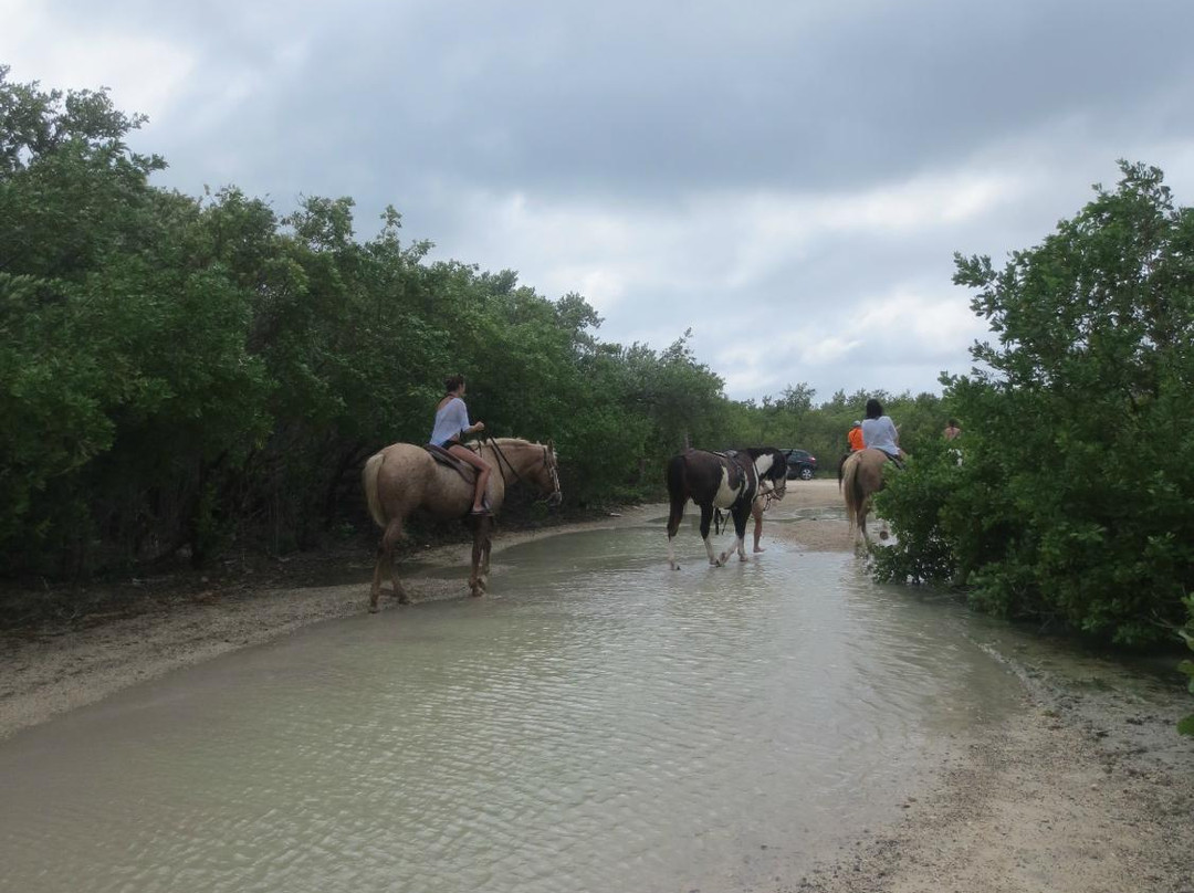 Barker's National Park-西湾必去景点