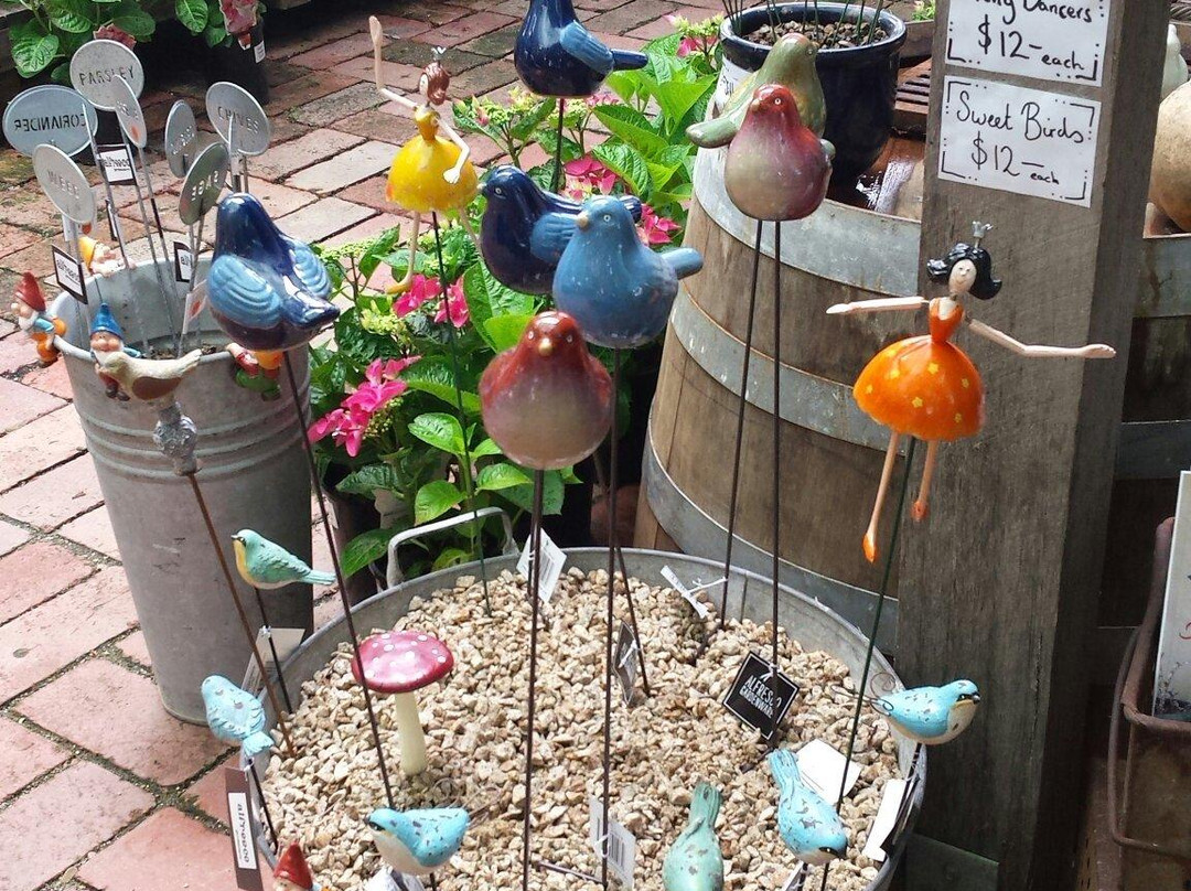 Alowyn Gardens-亚拉格林必去景点