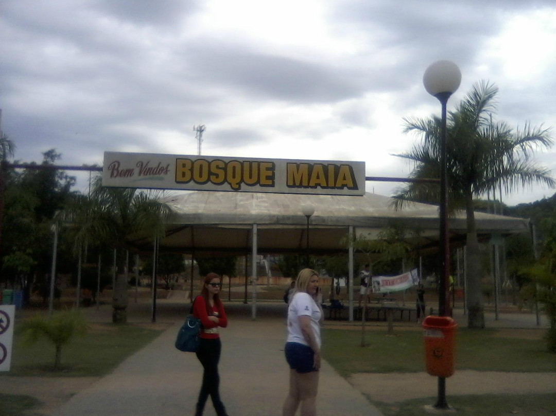 Bosque Maia-瓜鲁柳斯必去景点