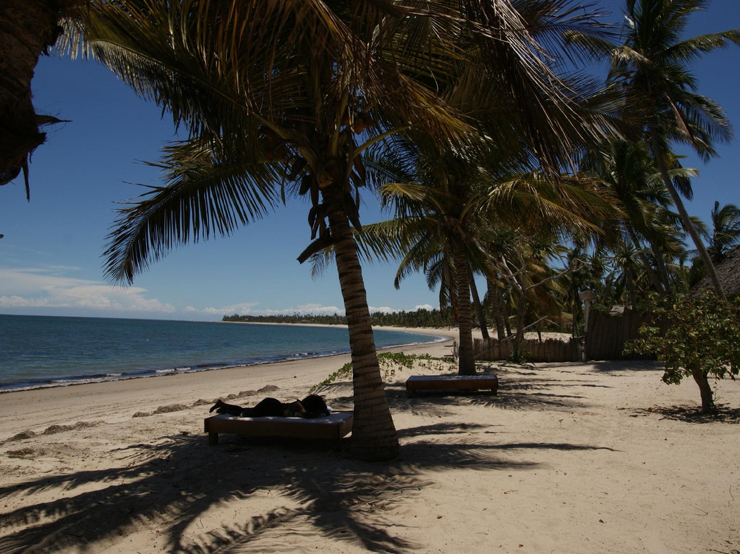 Drifters Lodge主图