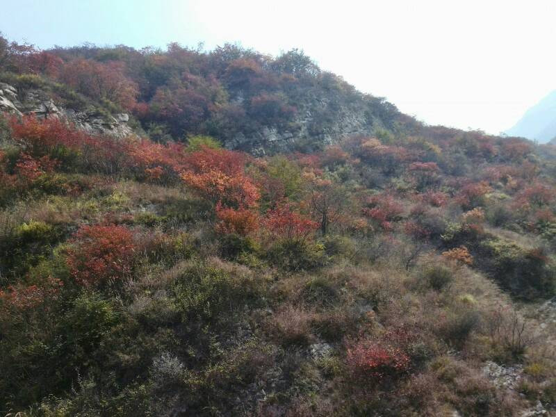 仙台山-井陉县必去景点