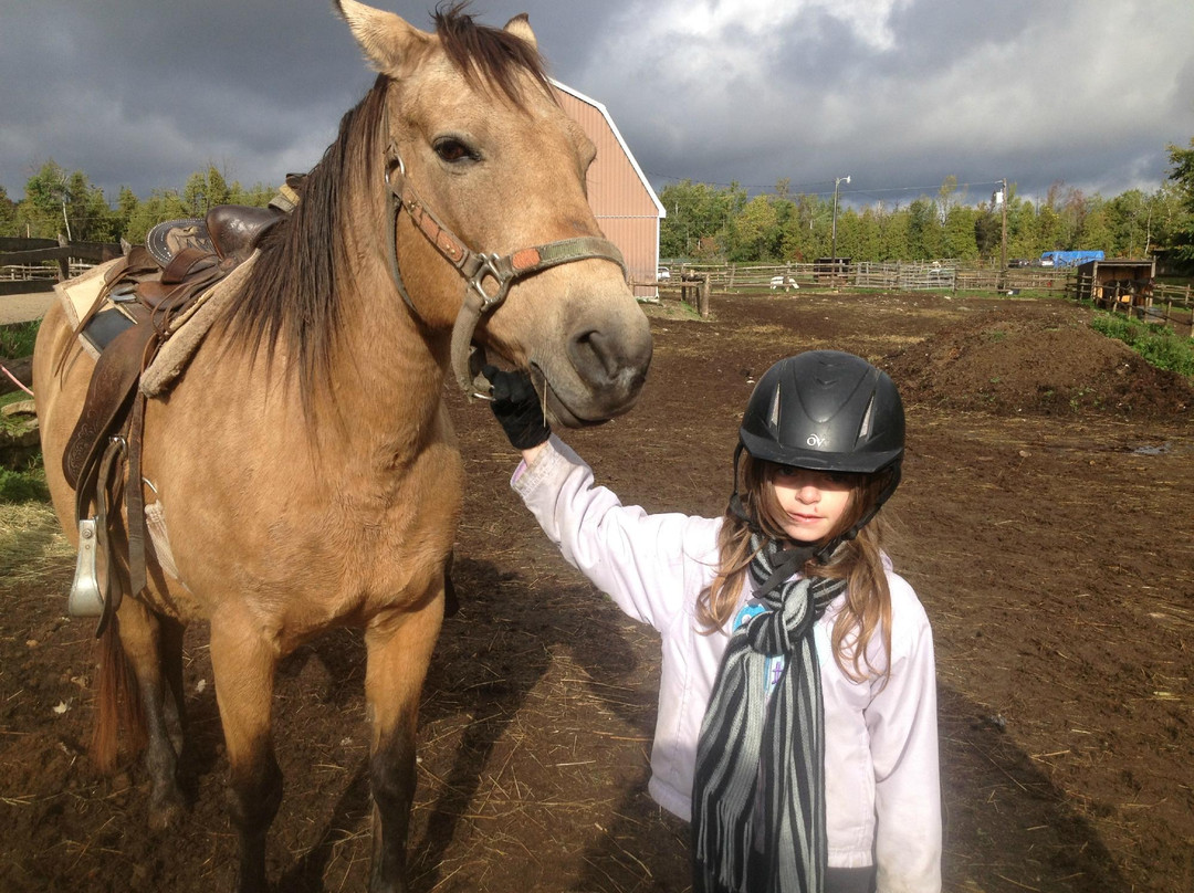 Wildwood Manor Ranch-Georgetown必去景点