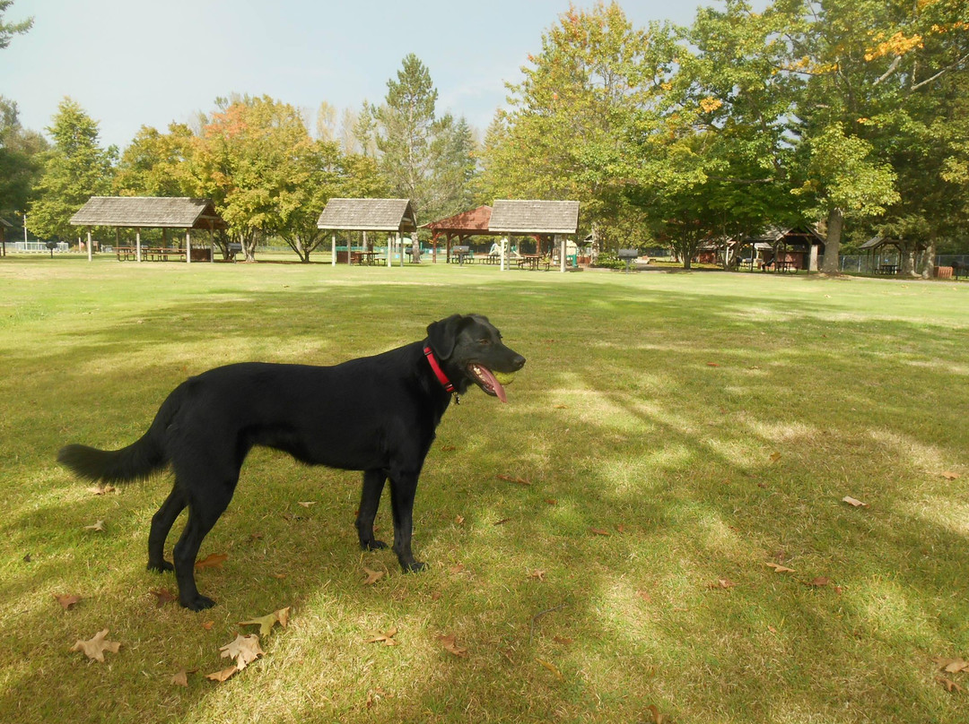 Mud Mountain Dam-Enumclaw必去景点