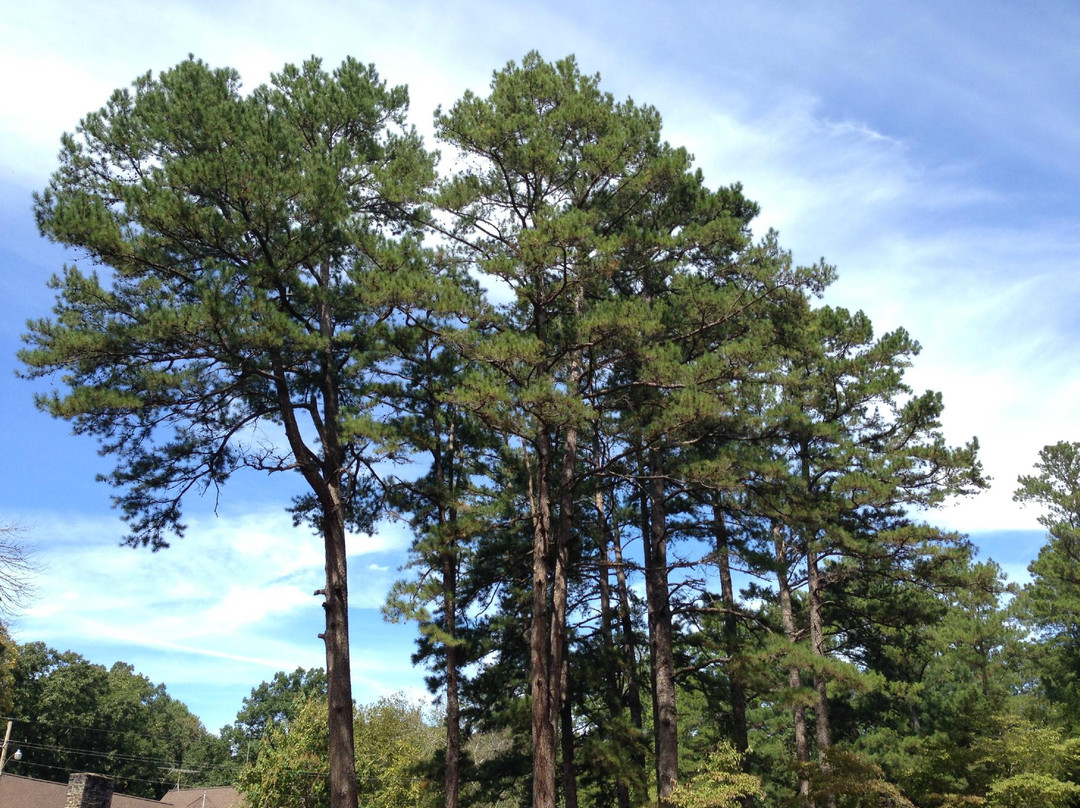 Wall Doxey State Park景点图片