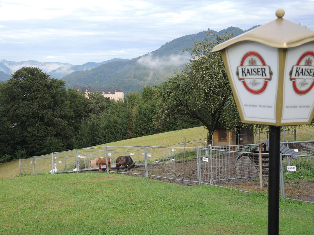 Pension Binderalm