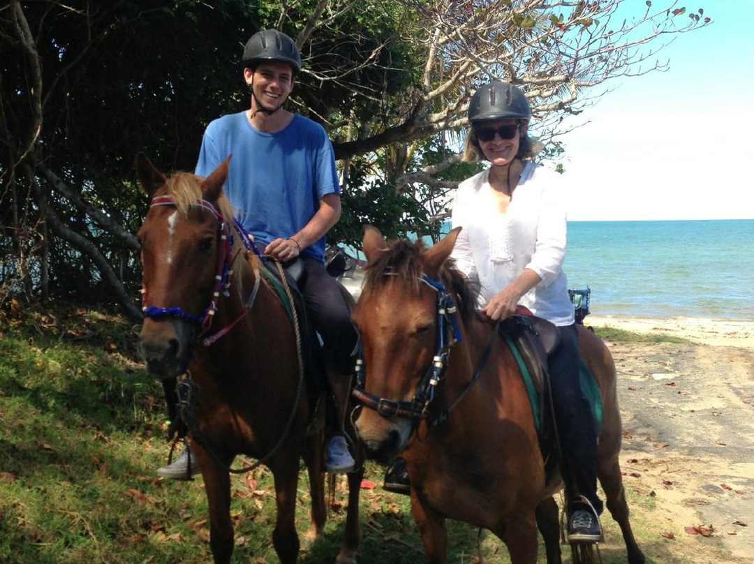 Kurrimine Beach Horse Rides景点图片