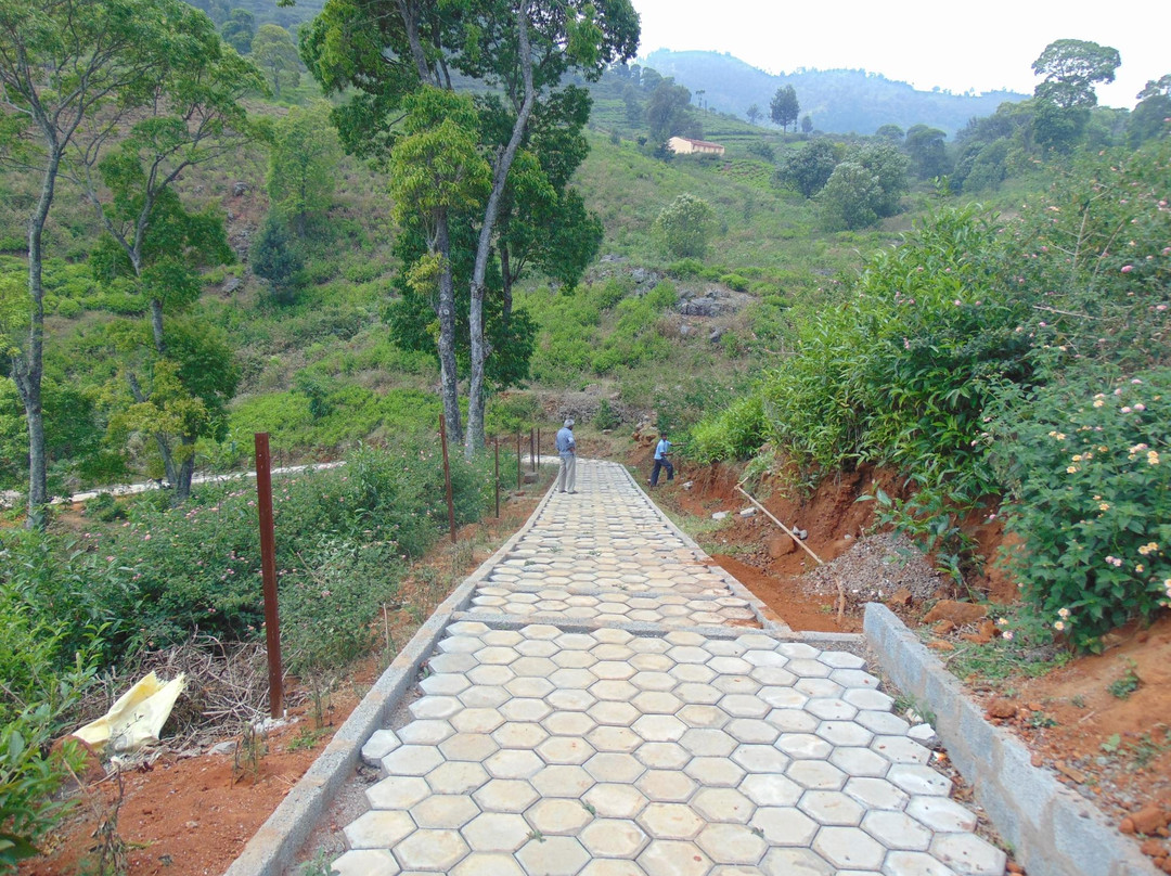 Artha Blue Mountain主图