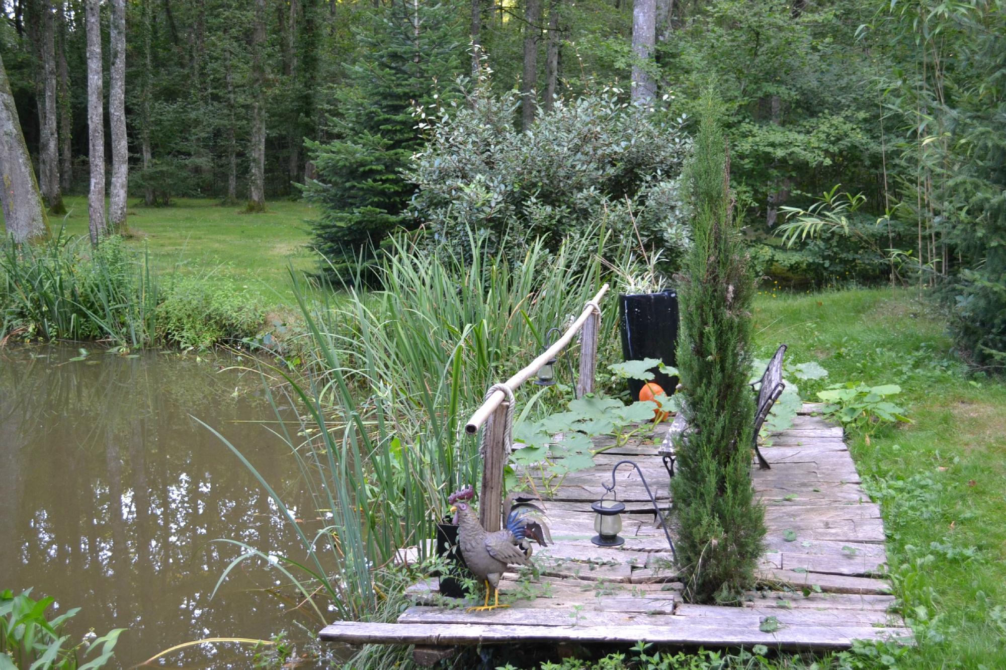 La Petite Noue-酒店景观