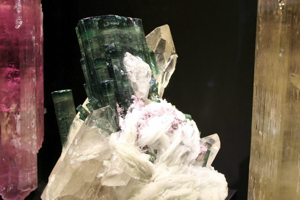 佩洛特自然科学博物馆-达拉斯必去景点