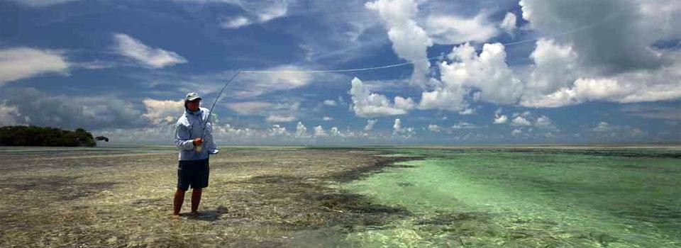 Sting Rea Private Charters-Summerland Key必去景点