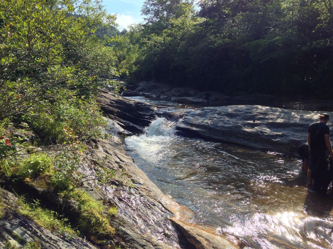 Graveyard Fields Hike & Waterfalls-Canton必去景点