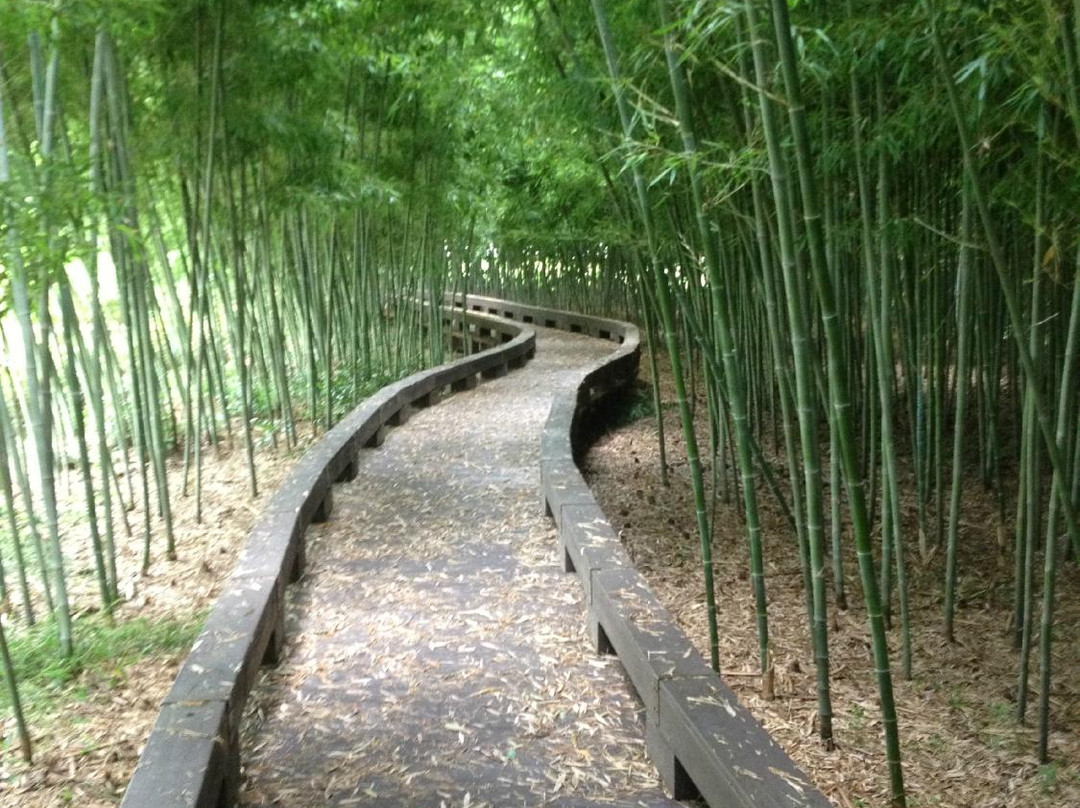 Korea Bamboo Museum-潭阳郡必去景点