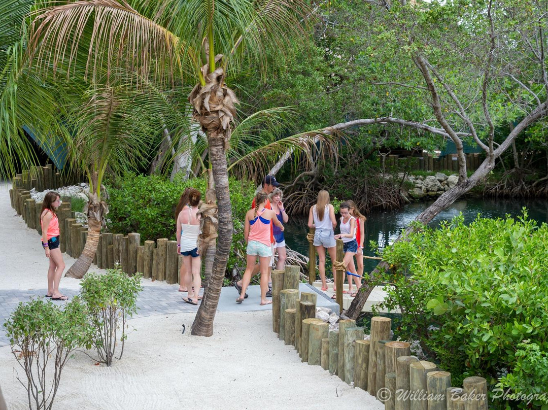 Florida Keys Aquarium Encounters-马拉松必去景点