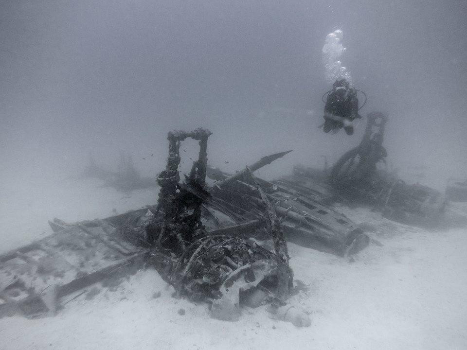 New Dimension Scuba-圣保罗湾城必去景点