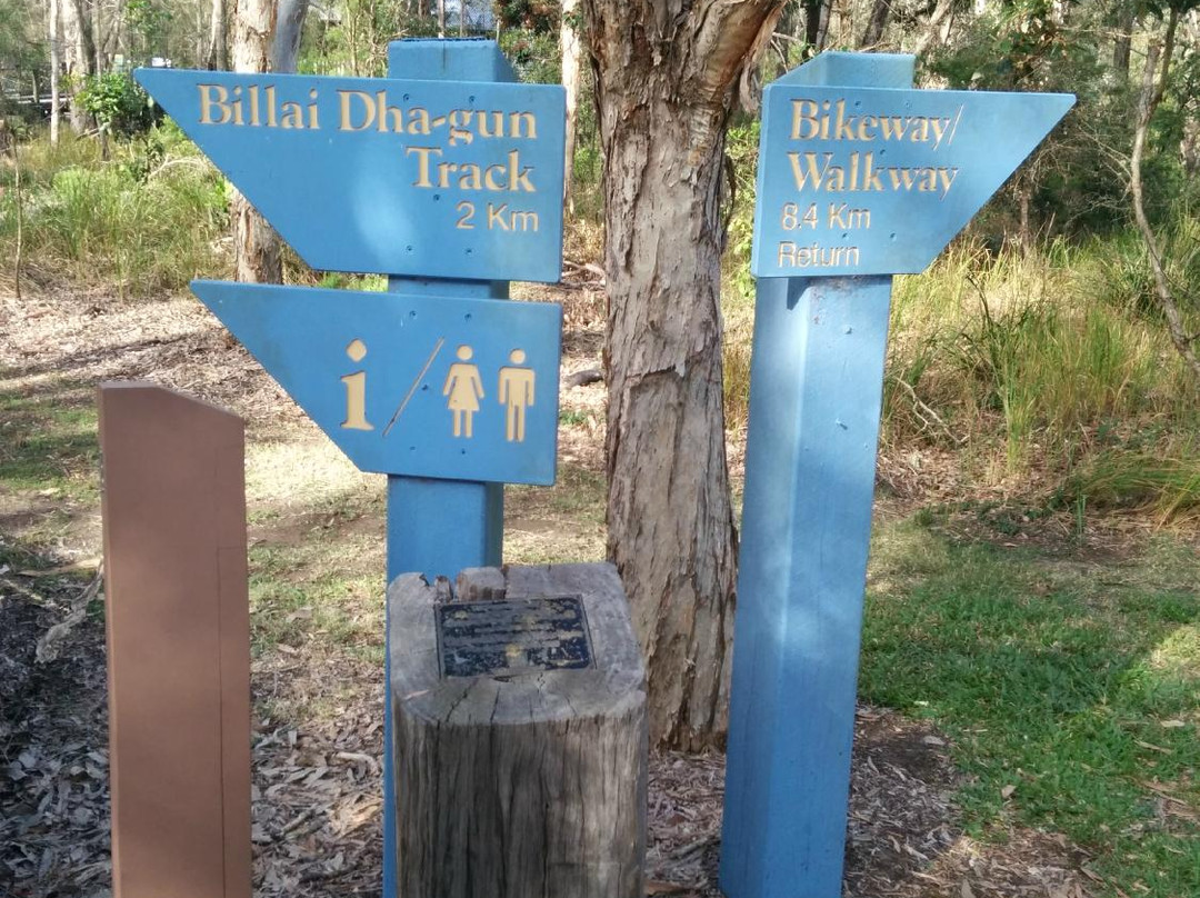 Boondall Wetlands Reserve景点图片