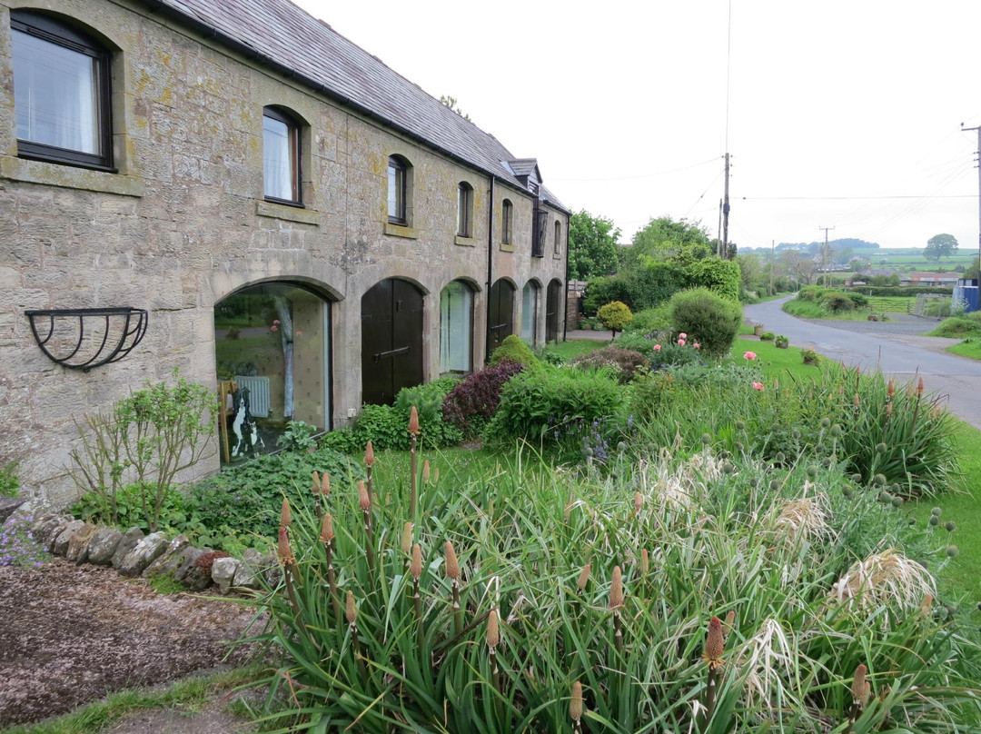 SlowSheep@theLazyFox主图