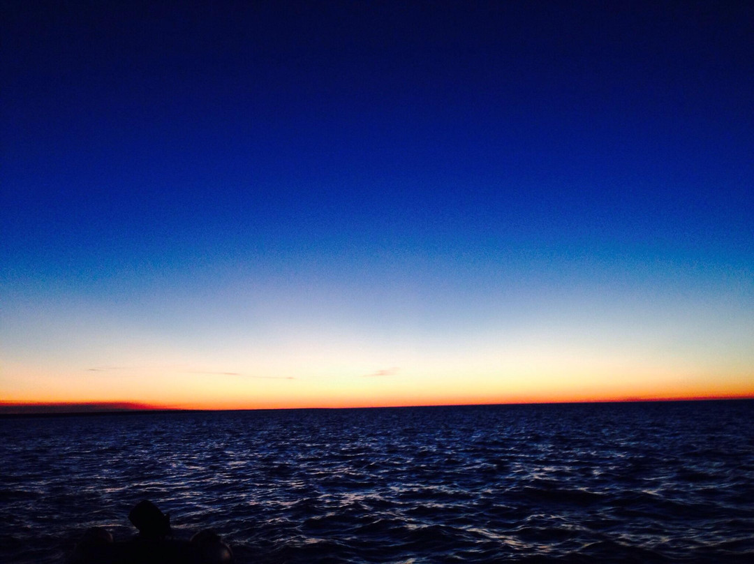 Ecosailing Experiences-达尔文市必去景点