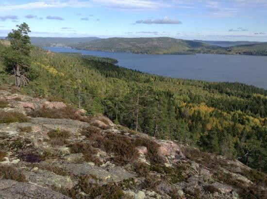 Skuleskogen Nationalpark景点图片