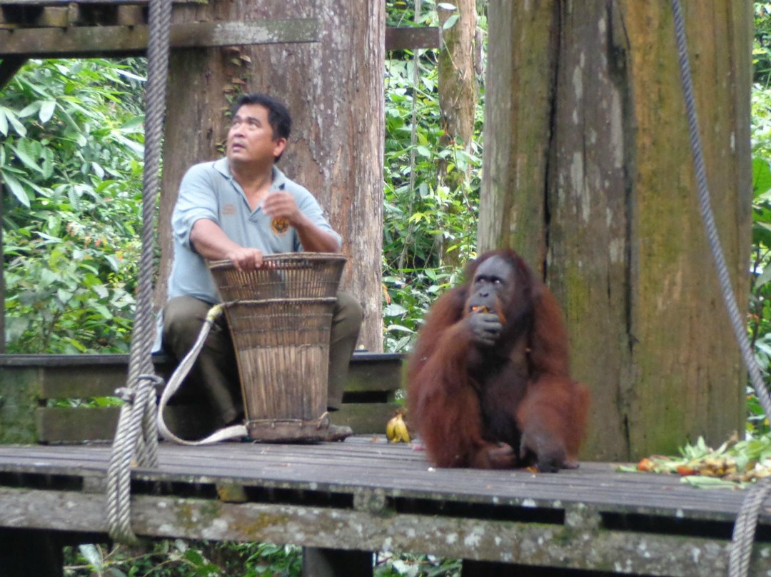 西必洛猿人保护区-西必洛必去景点