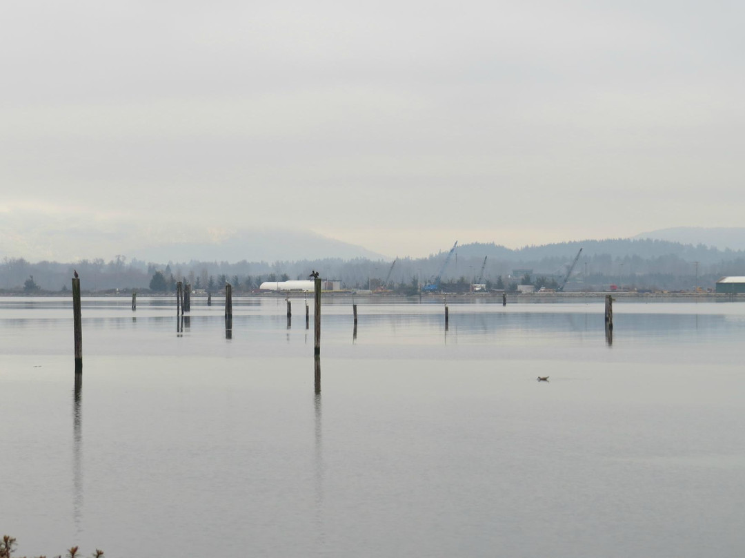 Cowichan Bay Maritime Centre景点图片