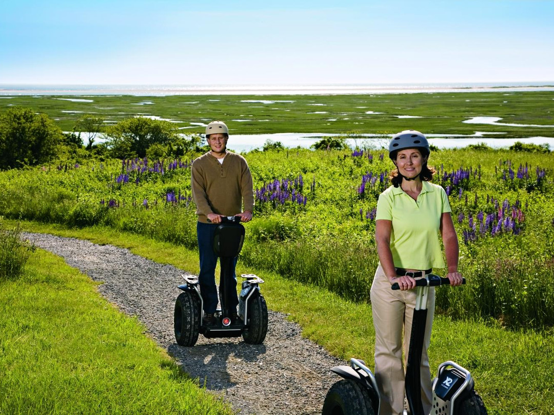 Segwaytour Strömstad & Kosteröarna景点图片