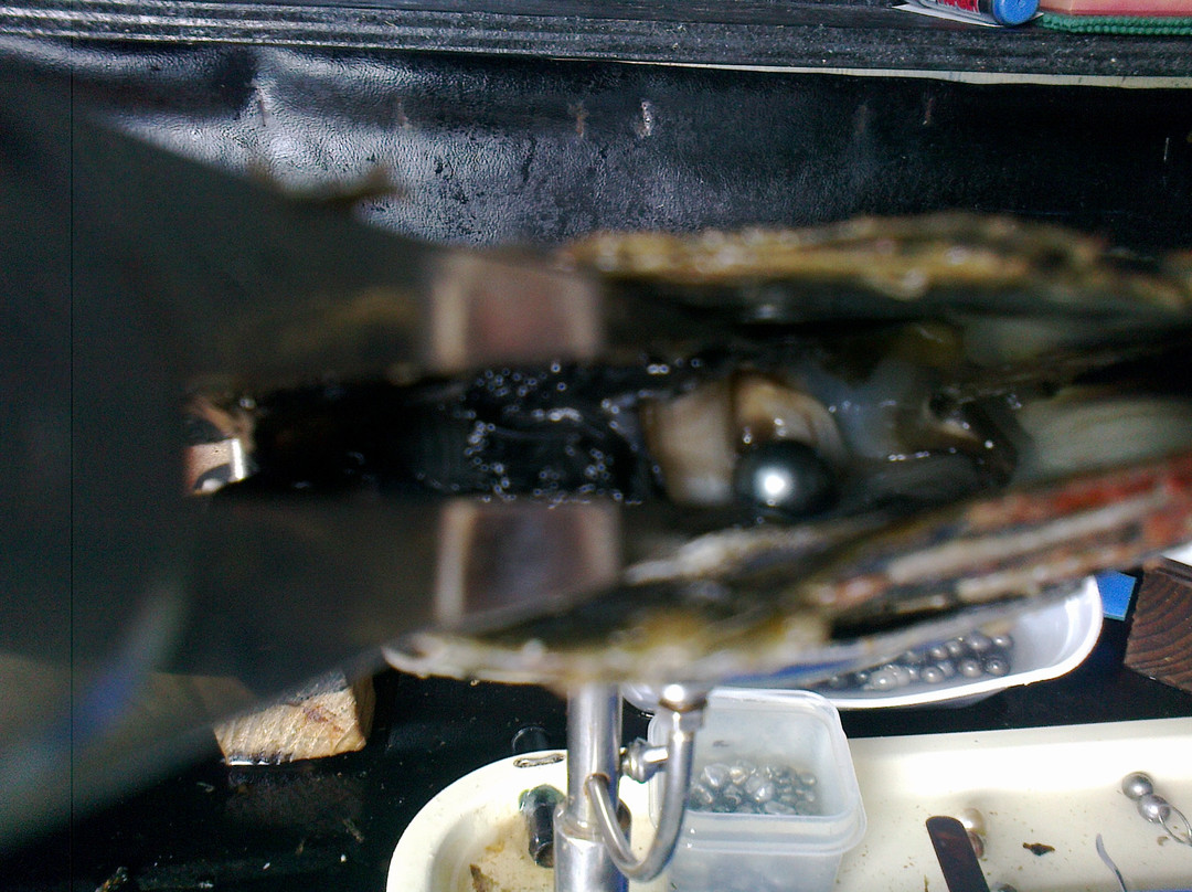 Manihiki Pearl Techs-拉罗汤加必去景点