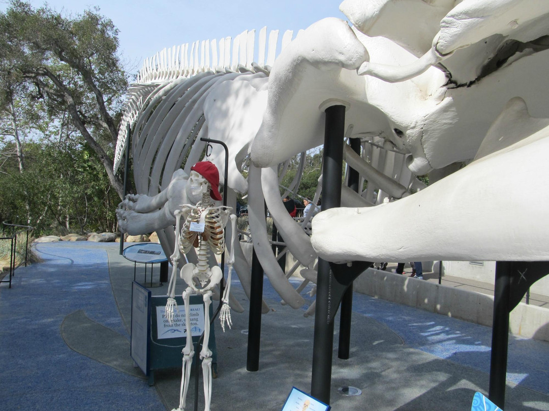 圣巴巴拉自然历史博物馆-圣巴巴拉必去景点