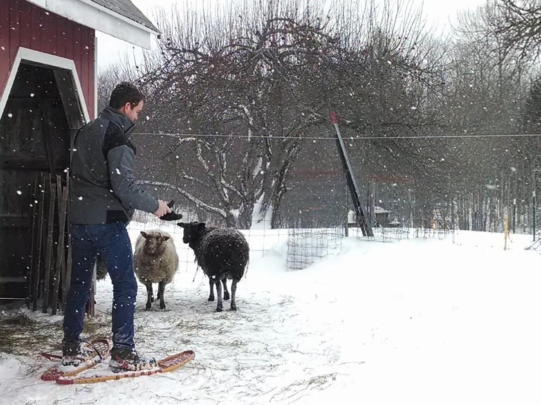 Sandtown Farmhouse Bed and Breakfast主图