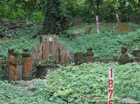 武吉布朗坟场-新加坡必去景点