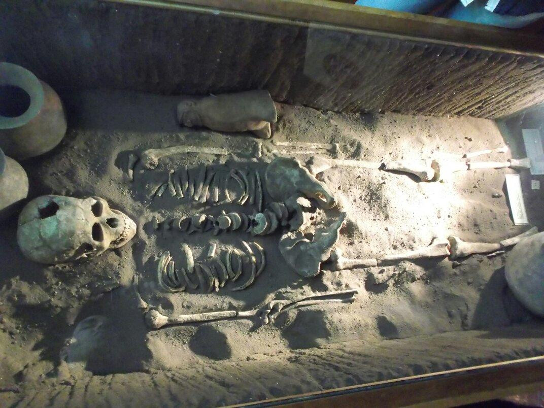 Museo Arqueológico de La Serena-拉塞雷纳必去景点