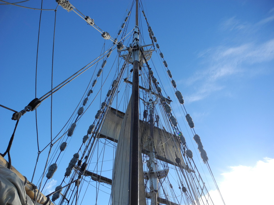 悉尼港湾渡船-悉尼必去景点