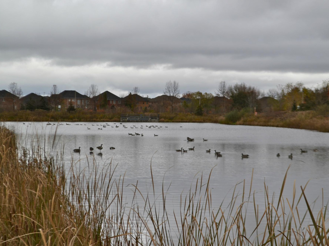 Mackenzie Glen District Park景点图片