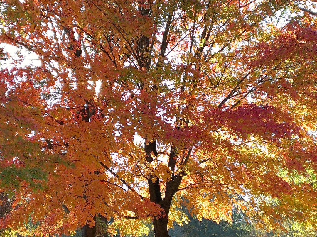 Fort Hunt Park-亚历山德里亚必去景点