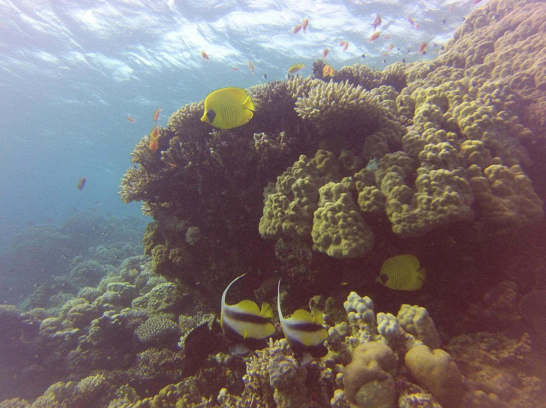 DUNE Red Sea-Safaga必去景点
