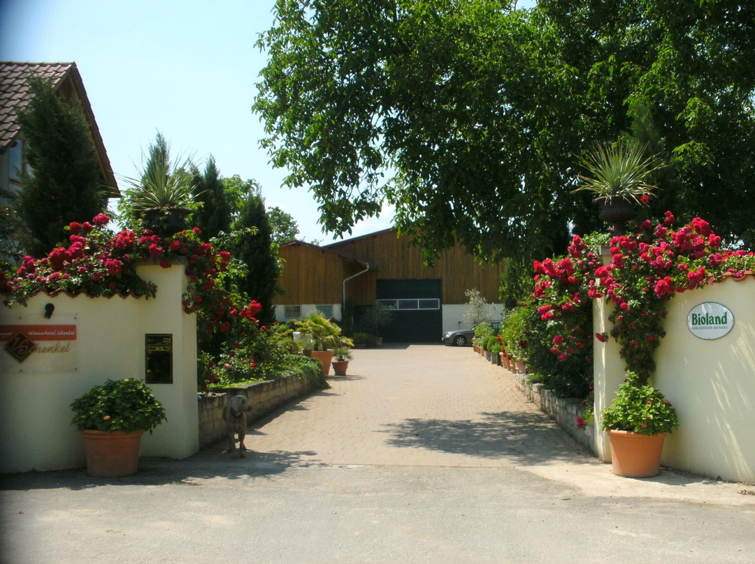 Winzerhotel Schenkel主图