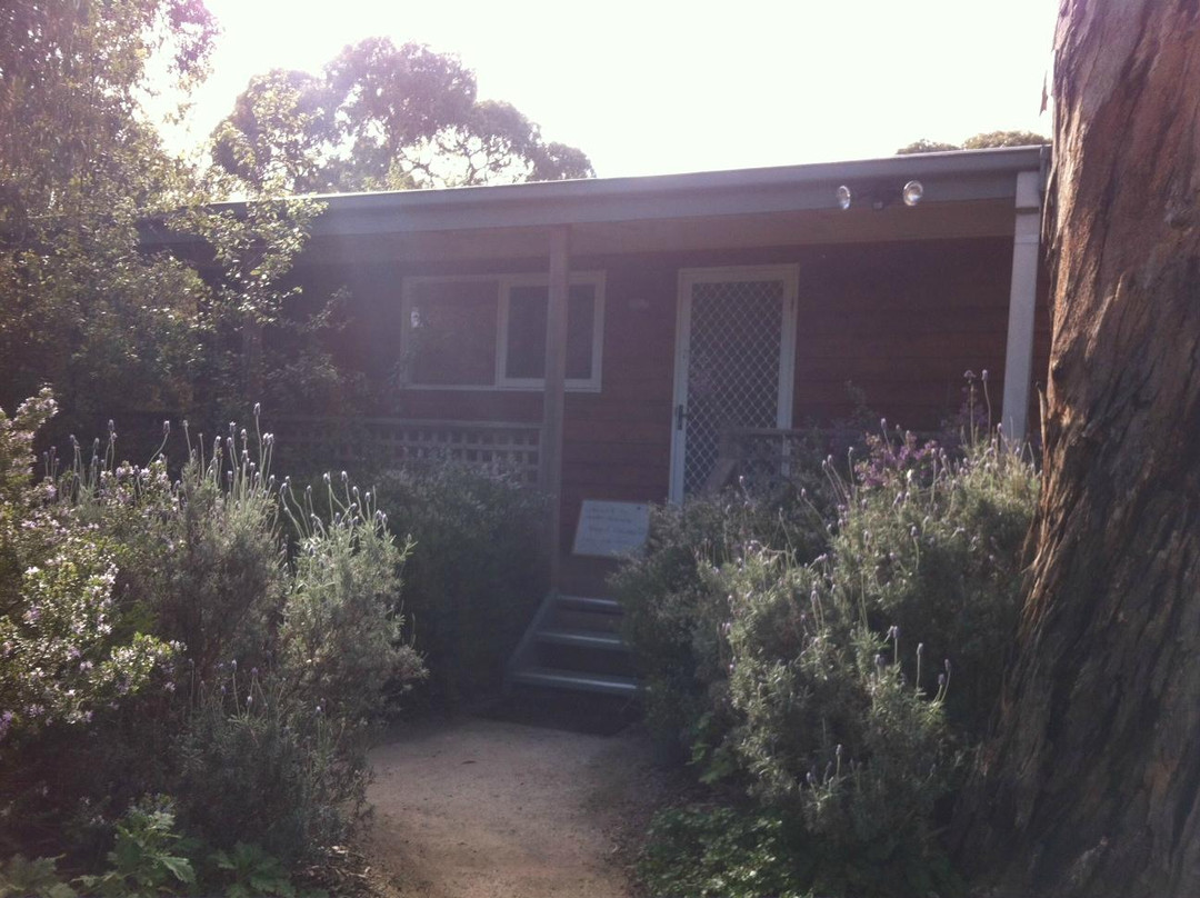 Ocean Hideaway Cedar Cabins