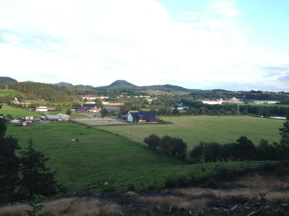 Tryggvi Islandshestgård景点图片