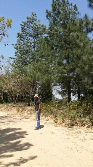 Parque Lomas de Arena-圣克鲁斯省必去景点