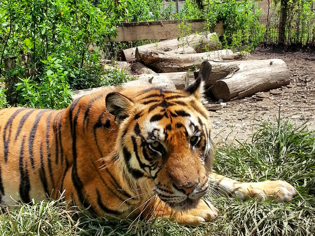 Heaven's Corner Zoo & Animal Sanctuary-West Alexandria必去景点